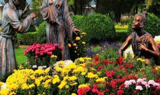 世界花卉大观园门票