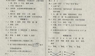 五年级寒假生活答案