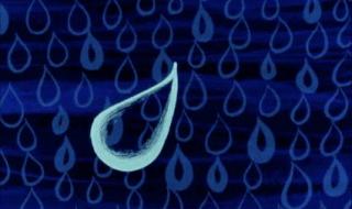 蚊子不会被雨水砸死