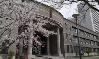 我只在乎你日语版