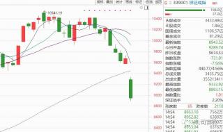 a股单日最大跌幅