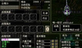 qq华夏战魂携带等级