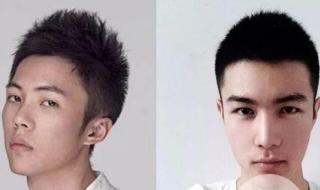 头发硬适合什么发型