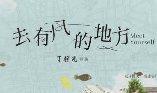 去有你的地方电视剧