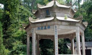 青山处处埋忠骨课文