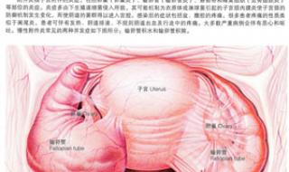 附件炎的症状有哪些