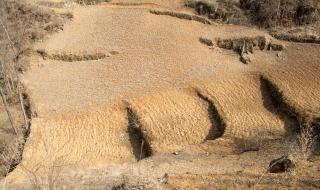 全国极端低温分布图