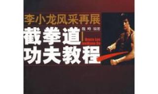 魏峰截拳道教程全集